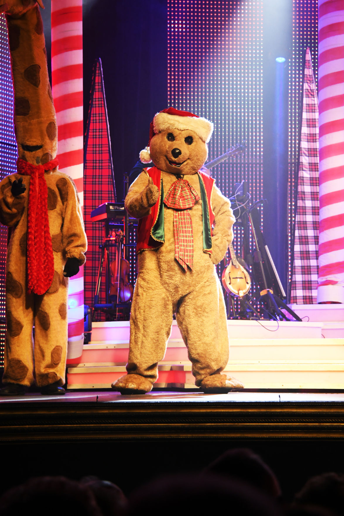 031 Animals add to the fun at the Dutton show.jpg